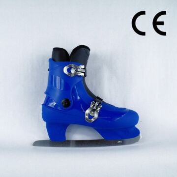 Roxa 1636 Rental Buz Pateni